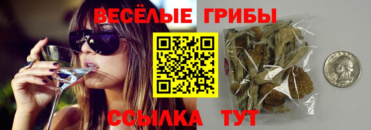 Галлюциногенные грибы прущие грибы  Галлюциногенные грибы Psilocybe  купить закладку  Бузулук  Вход с VPN 